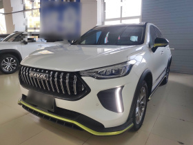 哈弗赤兔 2022款 劲享版 1.5T 紫铜兔