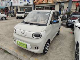 五菱汽车 宏光MINIEV 2024款 第三代 215km 青春版