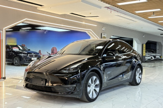 特斯拉 Model Y 2022款 改款 长续航全轮驱动版