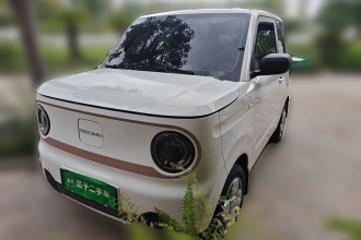 吉利银河 2024款 熊猫mini 200km 耐力熊