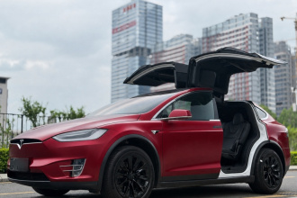 特斯拉 Model X 2019款 长续航版