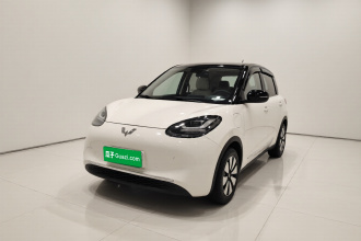 五菱汽车 五菱缤果 2024款 333km 悦享款