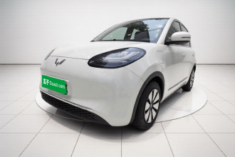 五菱汽车 五菱缤果 2023款 333km 悦享+款