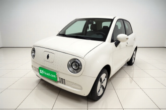 欧拉黑猫 2021款 301km 基础型