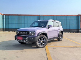 捷途旅行者 2025款 2.0T DCT 星月女神