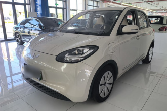 五菱汽车 五菱缤果 2023款 333km 快享款