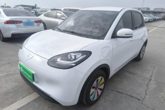 五菱汽车 五菱缤果 2024款 203km 轻享款