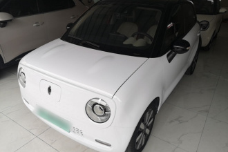 欧拉黑猫 2021款 351km 豪华型