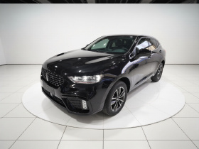 魏牌 VV5 2020款 1.5T 两驱颜先锋