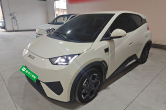 比亚迪 海鸥 2025款 智驾版 305km 自由版