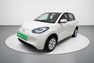 五菱汽车 五菱缤果 2023款 203km 轻享款