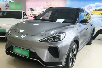 ARCFOX极狐 极狐 阿尔法T 2024款 618E 森林版PRO 175kW