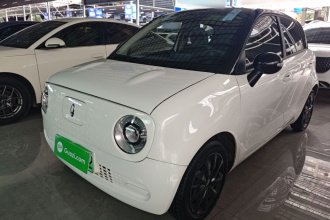 欧拉黑猫 2022款 301km 萌宠版 磷酸铁锂