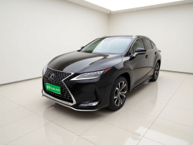 雷克萨斯RX 2020款 300 四驱典雅版 国VI