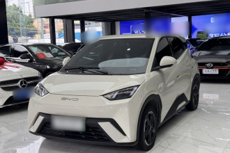 比亚迪 海鸥 2023款 飞翔版