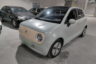 欧拉黑猫 2021款 301km 基础型