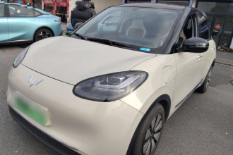 五菱汽车 五菱缤果 2024款 333km 悦享款