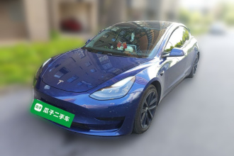 特斯拉 Model 3 2021款 标准续航后驱升级版