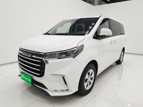 上汽大通MAXUS 大通G10 2025款 2.0L 手动多功能版 汽油 7座