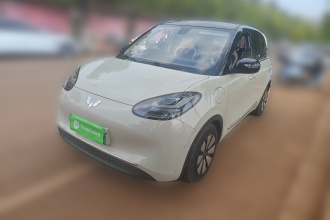 五菱汽车 五菱缤果 2023款 333km 悦享款