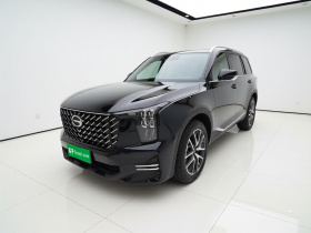 广汽传祺 传祺GS8 2025款 领航系列 2.0TGDI 两驱豪华版 5座