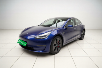 特斯拉 Model 3 2020款 改款 标准续航后驱升级版