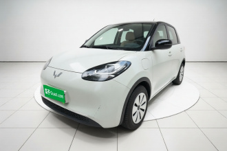 五菱汽车 五菱缤果 2025款 203km 轻享款