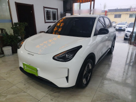 吉利银河 星愿 2025款 310km 梦想版