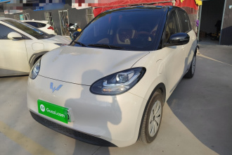 五菱汽车 五菱缤果 2024款 203km 轻享款