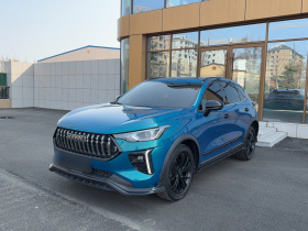 哈弗赤兔 2021款 激擎版 1.5T 白银兔