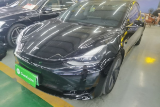 特斯拉 Model 3 2021款 标准续航后驱升级版 3D6