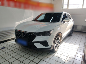 奔腾T77 2020款 PRO 280 TID 自动尊享型