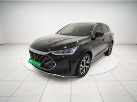 比亚迪 唐新能源 2025款 DM-i 115KM 尊荣型