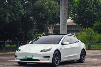 特斯拉 Model 3 2021款 改款 标准续航后驱升级版 3D1