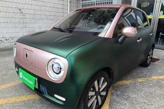 欧拉黑猫 2021款 351km 豪华型