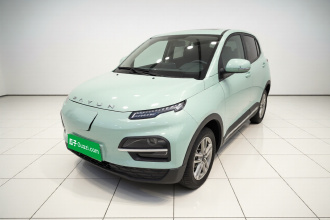 大运 悦虎 2023款 300 标准版