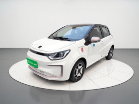 思皓 花仙子 2021款 302km 豪华型 30.2kWh