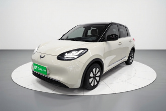五菱汽车 五菱缤果 2023款 203km 舒享款