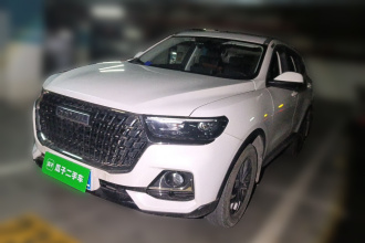哈弗H6 2023款 国潮版 1.5T 自动都市版