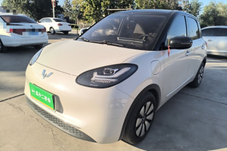五菱汽车 五菱缤果 2024款 333km 悦享款