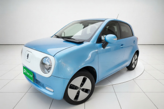 欧拉黑猫 2021款 301km 基础型