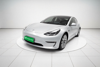 特斯拉 Model 3 2020款 改款 长续航后轮驱动版