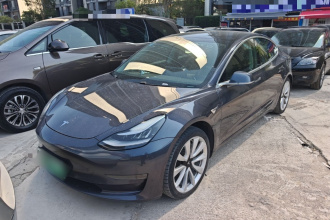特斯拉 Model 3 2020款 改款 长续航后轮驱动版