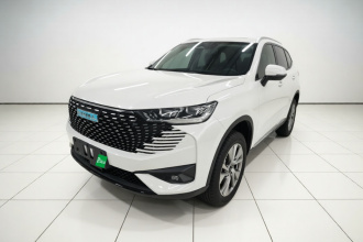哈弗H6新能源 2023款 DHT-PHEV 55KM 悦行版