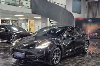 特斯拉 Model 3 2022款 后轮驱动版