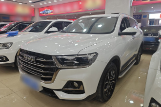 哈弗H6 2021款 国潮版 1.5T 自动都市版