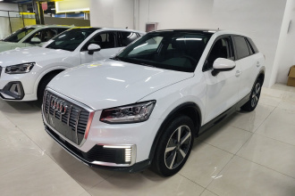 奥迪Q2L e-tron 2019款 Q2L e-tron 纯电智享型