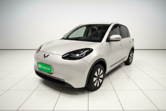 五菱汽车 五菱缤果 2023款 203km 舒享款