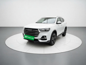哈弗H6 2021款 国潮版 1.5T 自动冠军版