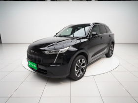 哈弗枭龙MAX 2023款 1.5L Hi4 105 四驱领航版